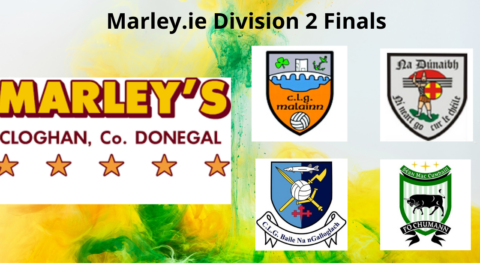 Marley.ie Division 2 Final – Sunday July 31